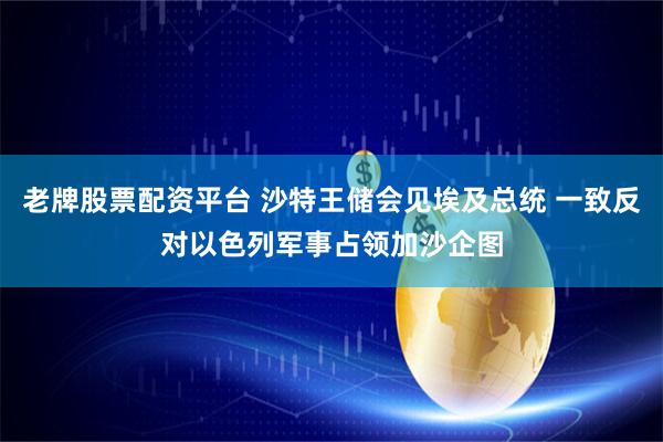 老牌股票配资平台 沙特王储会见埃及总统 一致反对以色列军事占领加沙企图